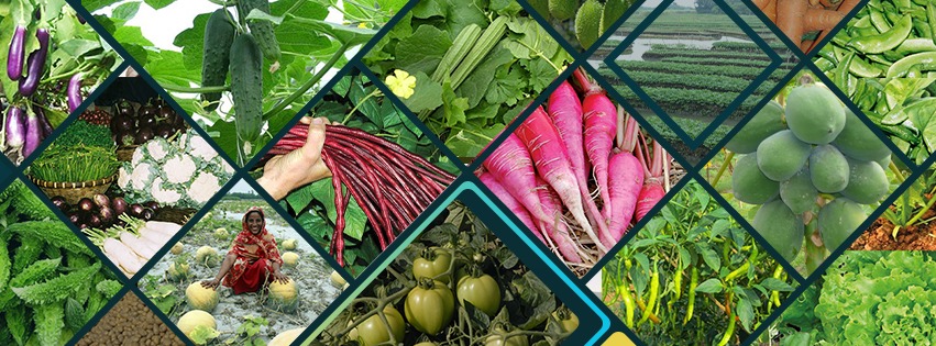 বিএডিসি'র পটভূমি